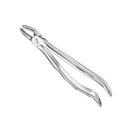Extracting forceps, engl